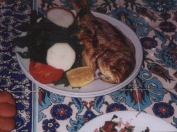 Törn 2001